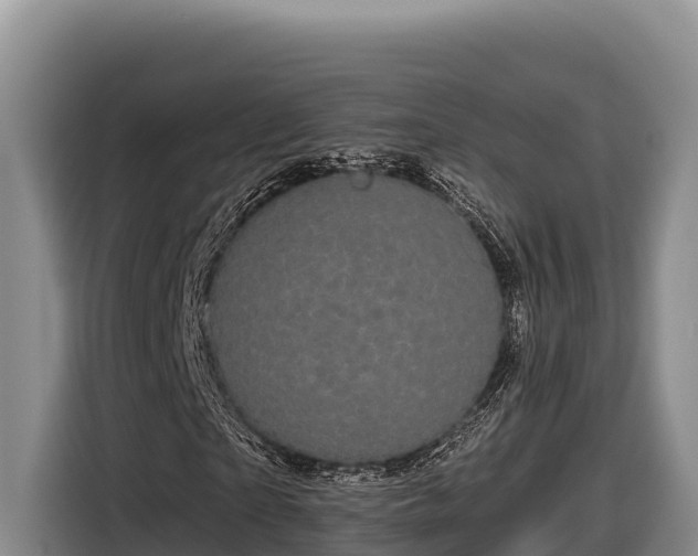 X0000116870865200912291318