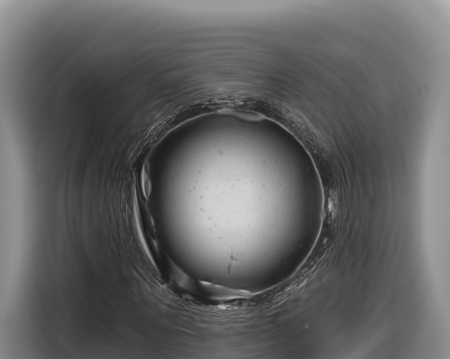X0000116870867200912291317
