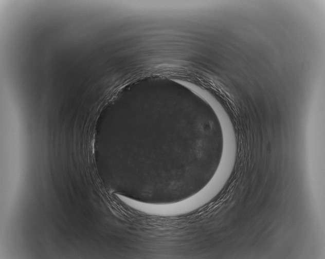 X0000116870868200912291317