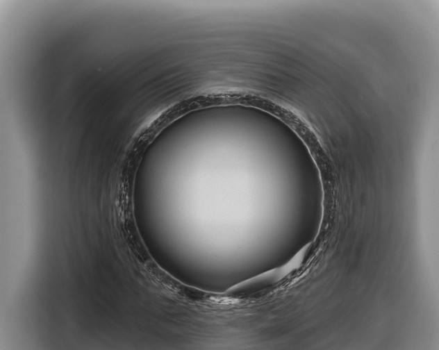 X0000116870871200912291317