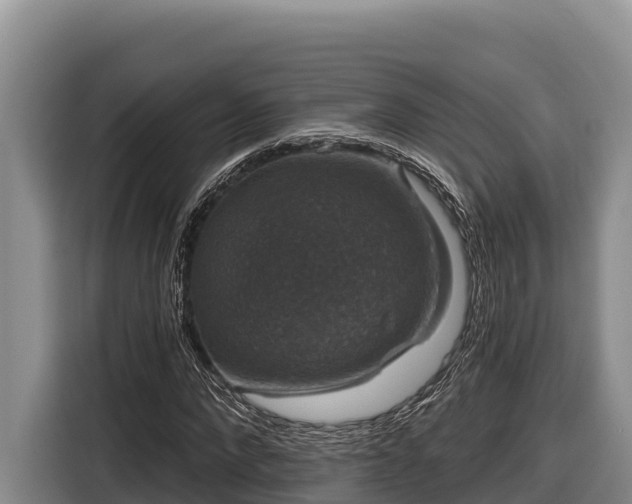 X0000116870872200912291317