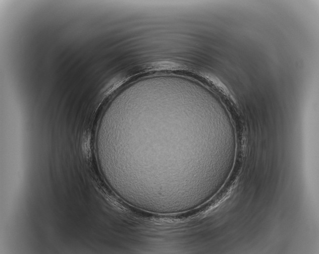 X0000116870873200912291317