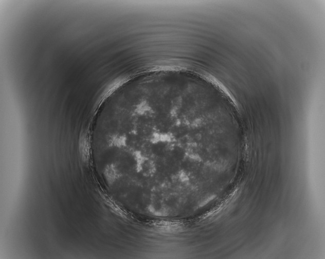 X0000116870874200912291317