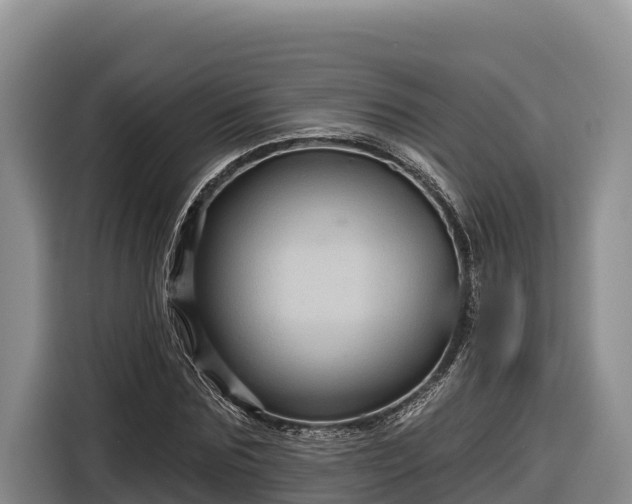 X0000116870875200912291317