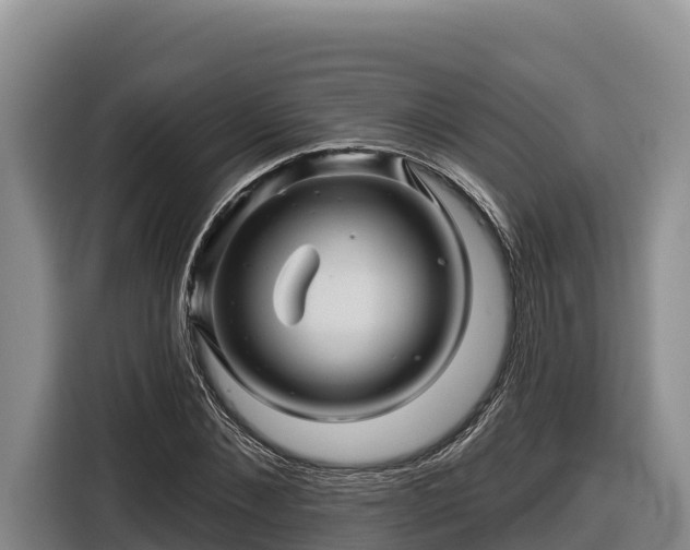 X0000116870876200912291317