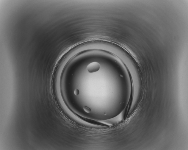 X0000116870877200912291317