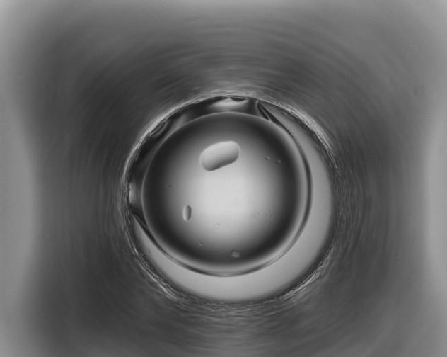 X0000116870878200912291317