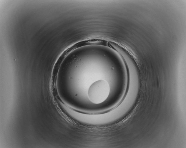 X0000116870880200912291317