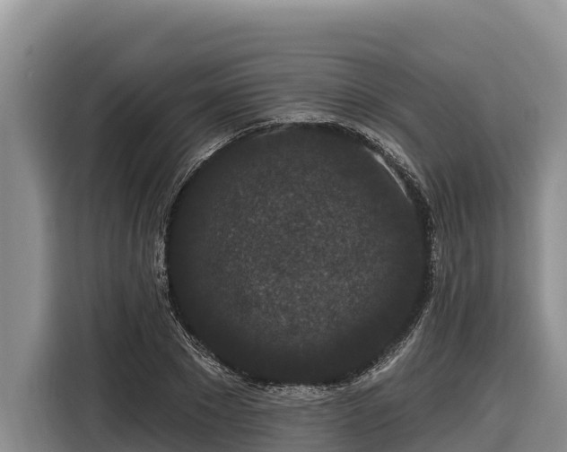 X0000116870881200912291317