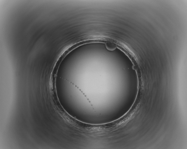 X0000116870883200912291317