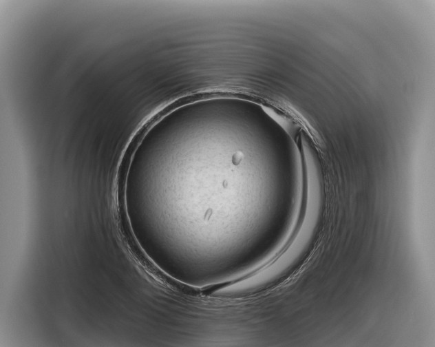 X0000116870884200912291317