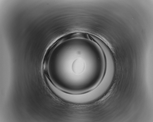 X0000116870885200912291317