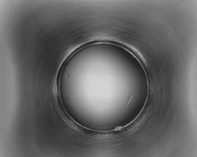 X0000116870887200912291317