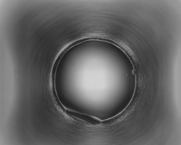 X0000116870888200912291317
