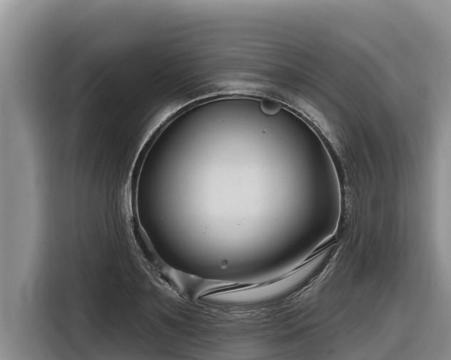X0000116870891200912291317