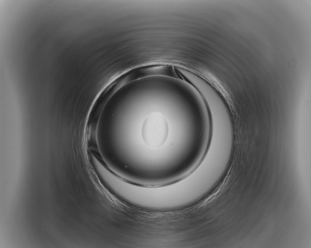 X0000116870892200912291317