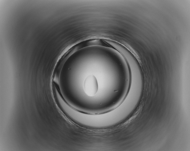 X0000116870893200912291317