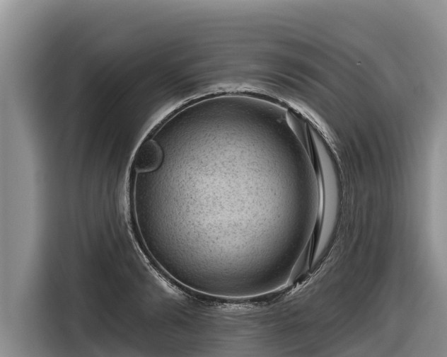 X0000116870894200912291317