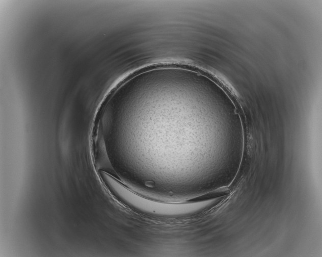 X0000116870895200912291317