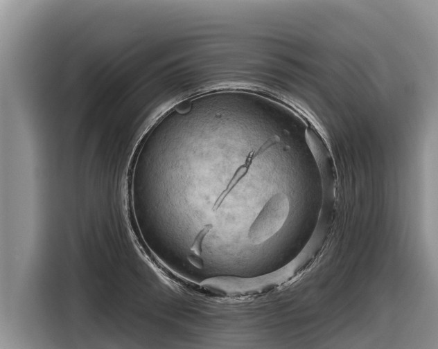 X0000116870898200912291317