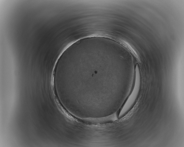 X0000116870900200912291317