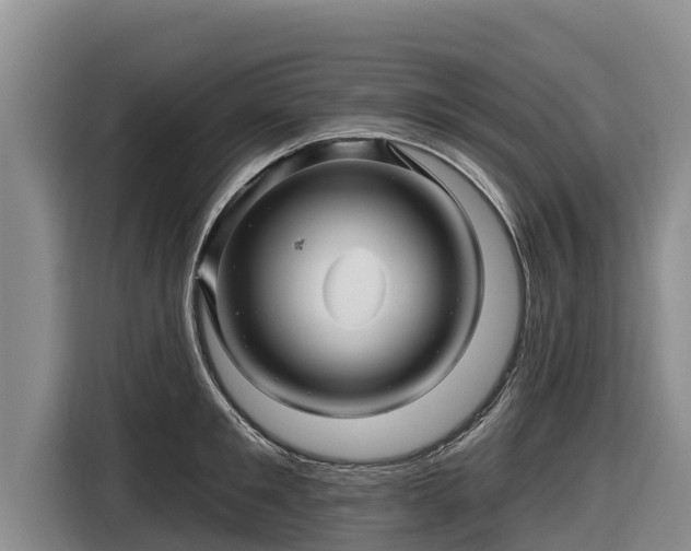 X0000116870901200912291317