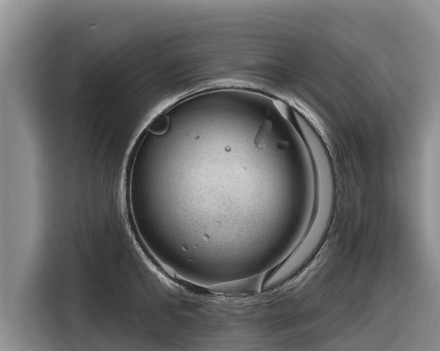 X0000116870902200912291317