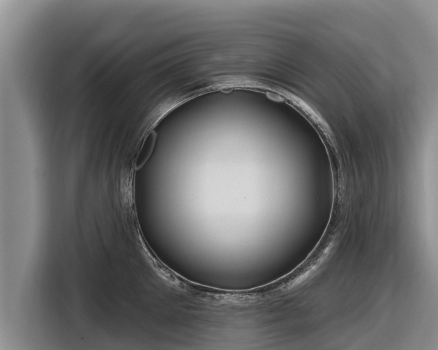X0000116870905200912291317