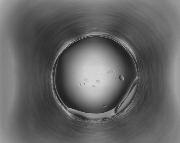 X0000116870906200912291317