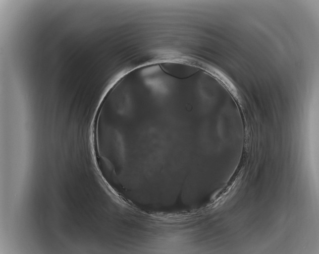 X0000116870907200912291317