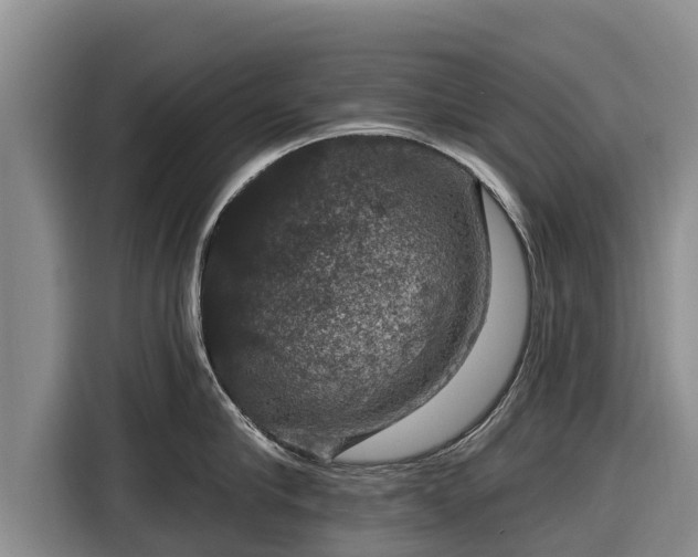 X0000116870910200912291317