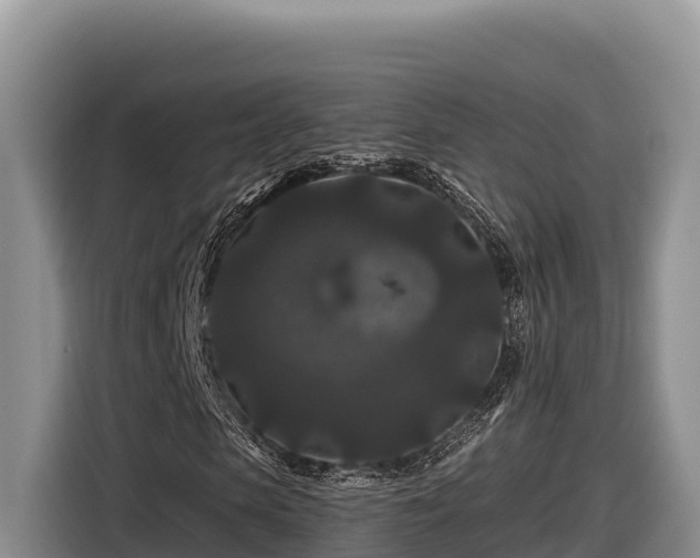 X0000116870913200912291316