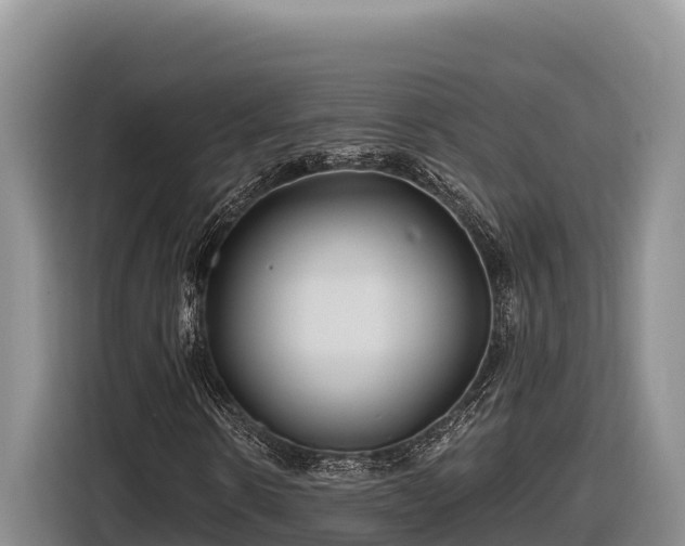 X0000116870914200912291316