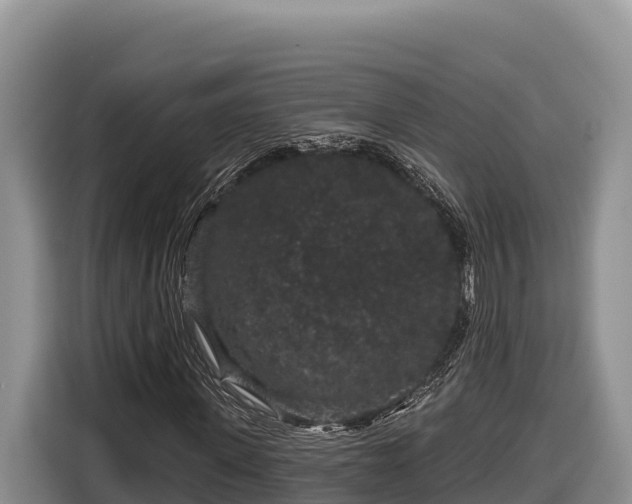 X0000116870915200912291316