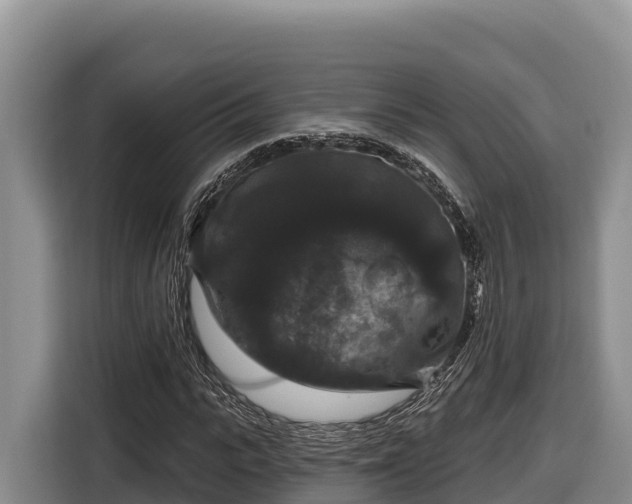 X0000116870919200912291316
