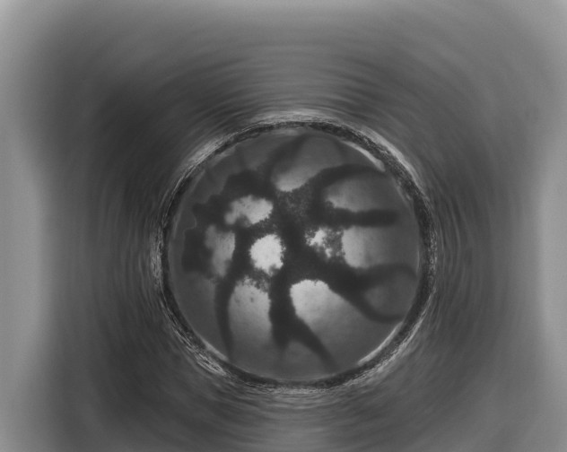 X0000116870921200912291316