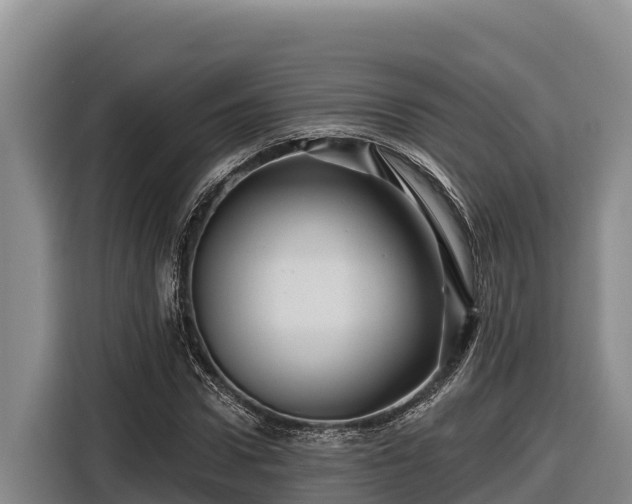 X0000116870922200912291316