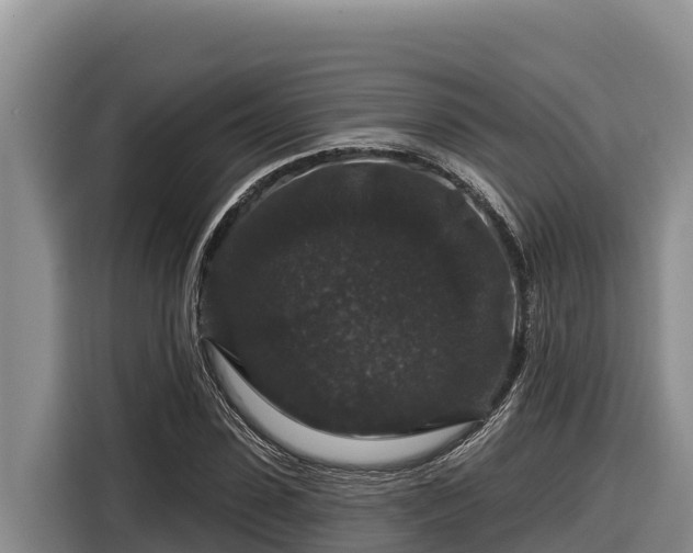 X0000116870923200912291316