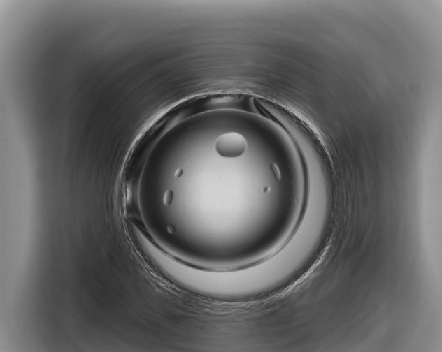 X0000116870925200912291316