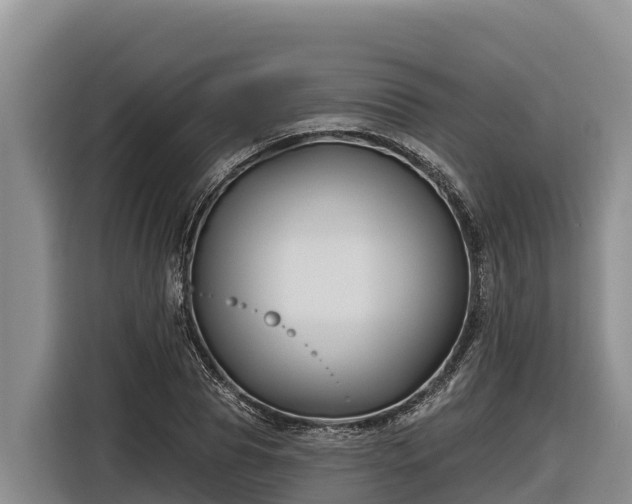 X0000116870929200912291316