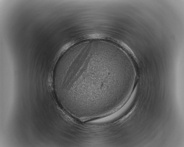 X0000116870930200912291317
