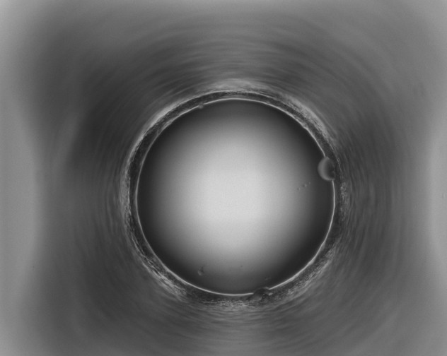 X0000116870931200912291317