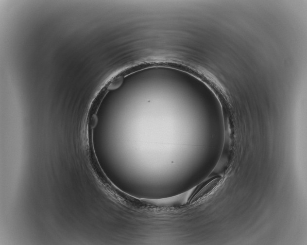 X0000116870934200912291317
