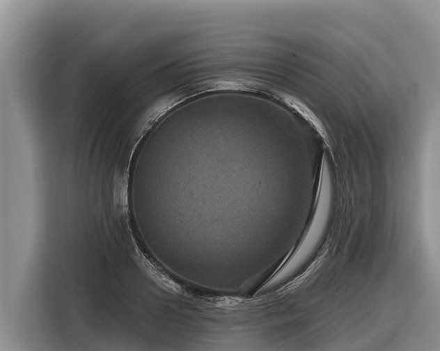 X0000116870938200912291317