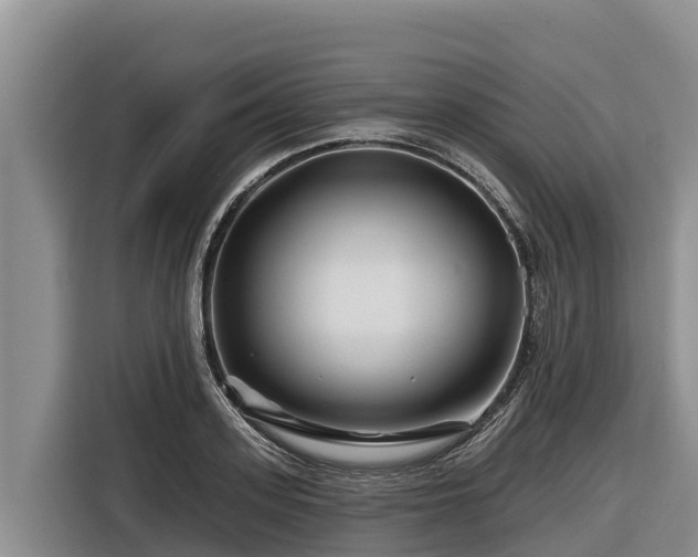 X0000116870939200912291317