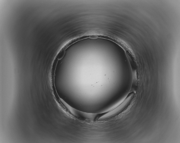 X0000116870942200912291317