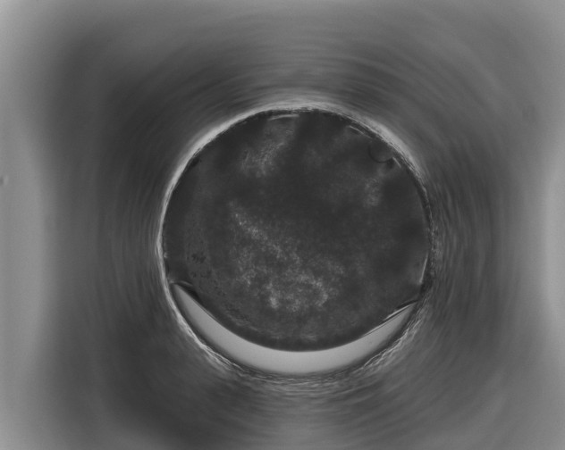 X0000116870943200912291317