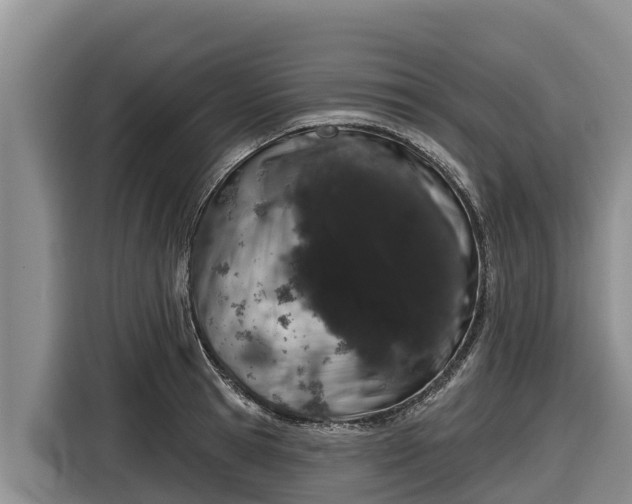 X0000116870945200912291317