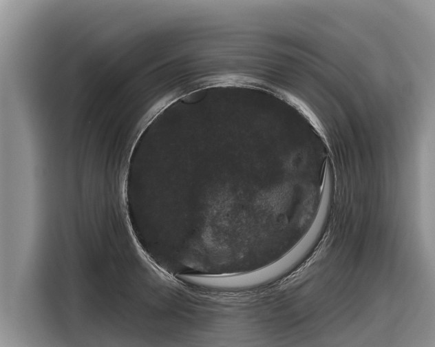 X0000116870946200912291317