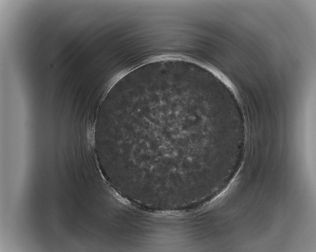 X0000116870953200912291317